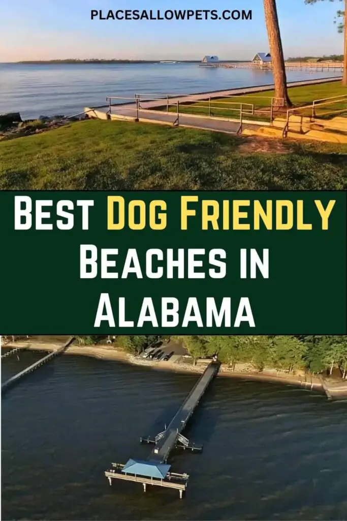 Best Dog-Friendly Beaches in  Alabama