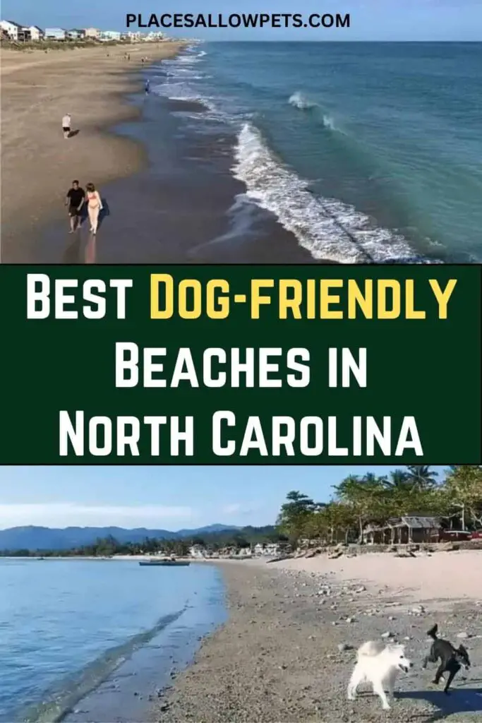 Best Dog-friendly  Beaches in North Carolina