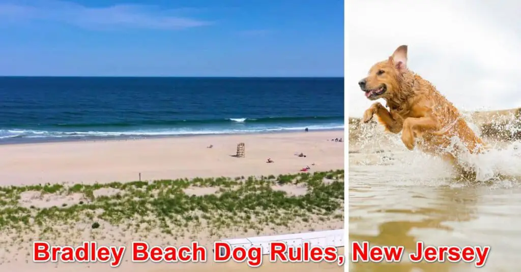 Bradley Beach Dog Rules, New Jersey