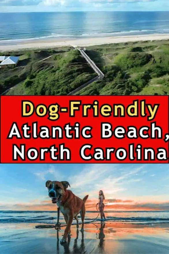 Dog-Friendly Atlantic Beach, North Carolina