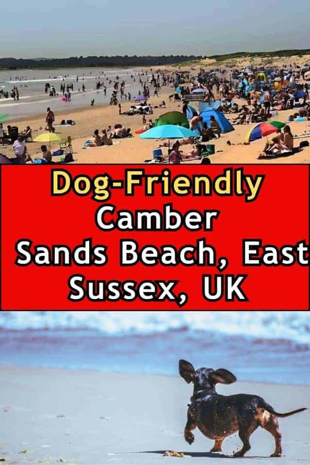 Dog-Friendly Camber Sands Beach, East  Sussex, UK