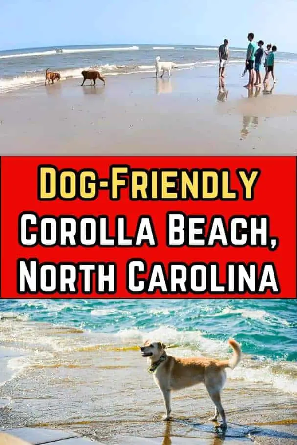Dog-Friendly Corolla Beach, North Carolina