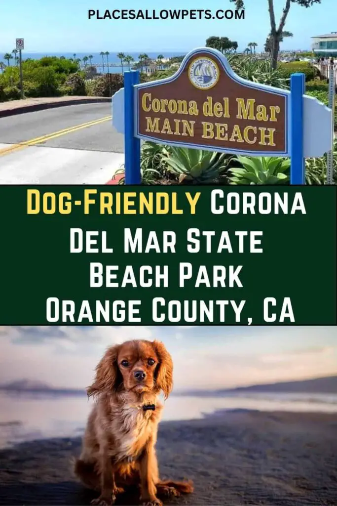 Dog-Friendly Corona Del Mar State Beach Park Orange County, CA