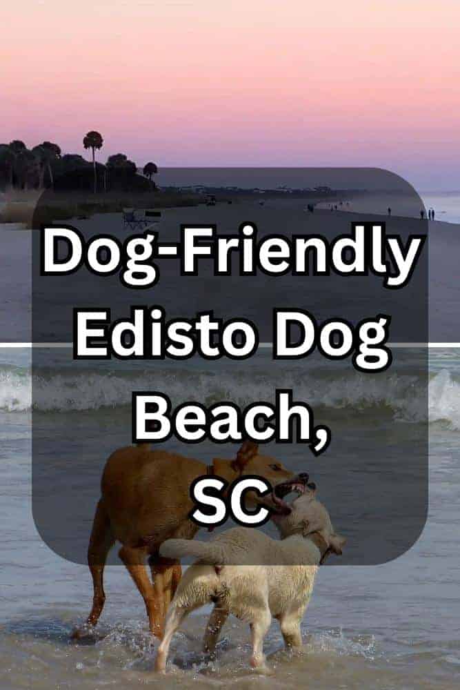 Dog-Friendly Edisto Dog Beach, SC