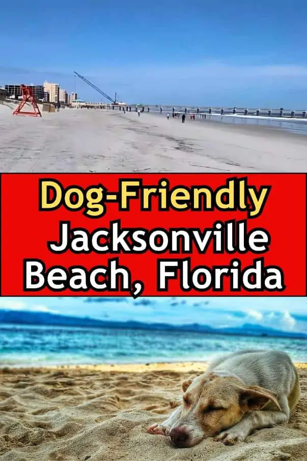 Dog-Friendly Jacksonville Beach, Florida