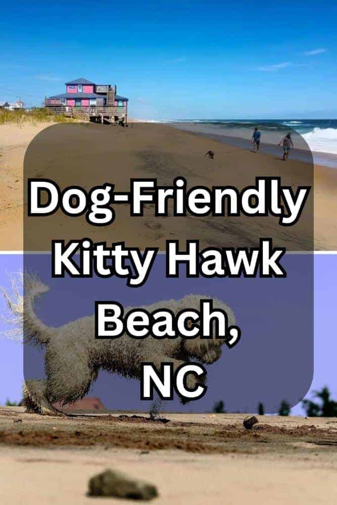 Dog-Friendly Kitty Hawk Dog Beach, NC