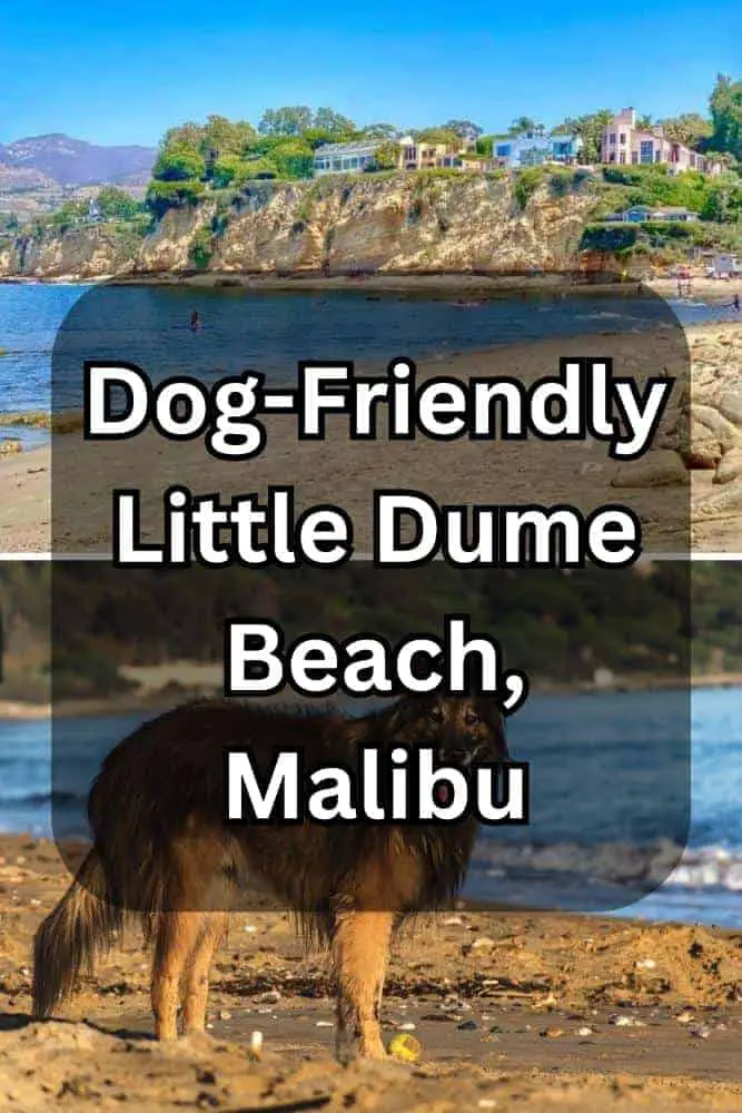 Dog-Friendly Little Dume Beach, Malibu