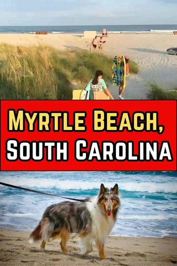 Dog-Friendly Myrtle Beach, South Carolina