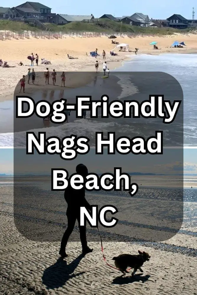 Dog-Friendly Nags Head Dog Beach, NC