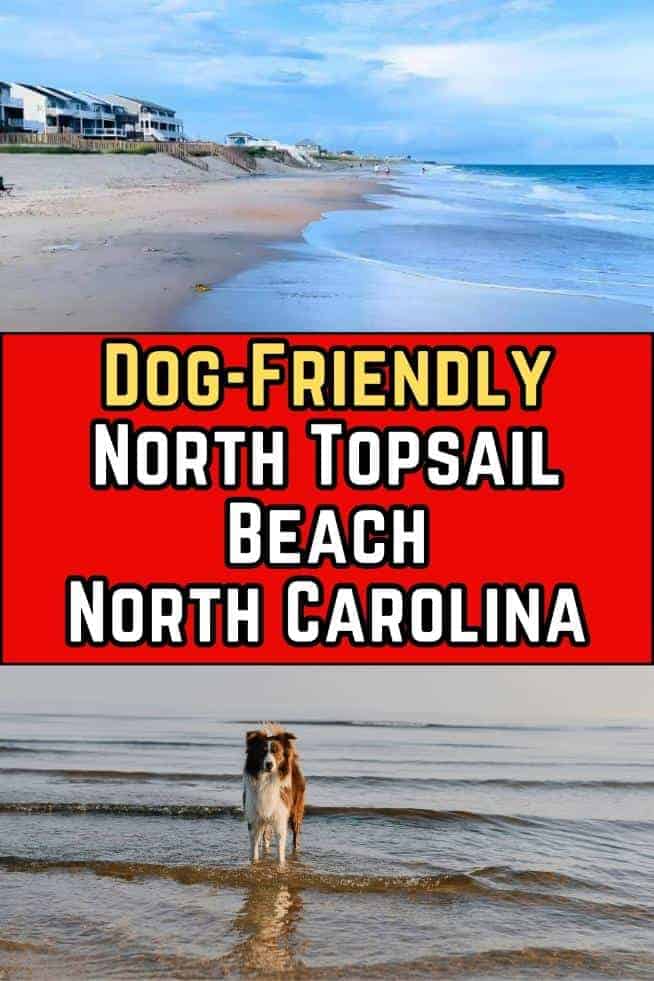 Dog-Friendly North Topsail  Beach North Carolina