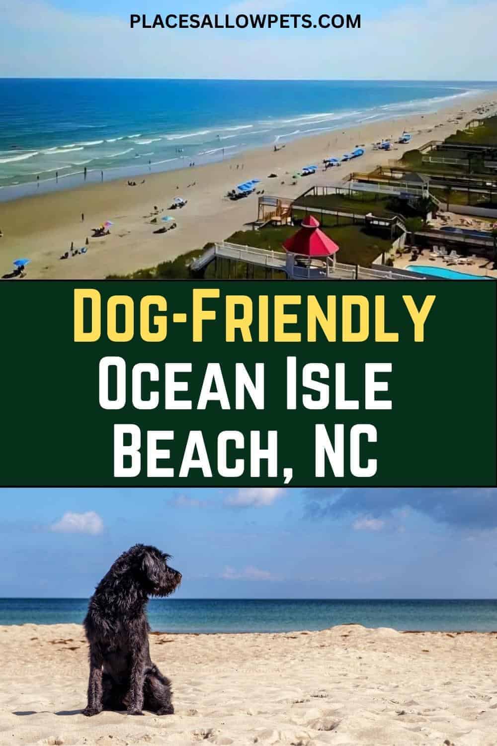 Ocean Isle Beach Dog Rules North Carolina New Laws 2025