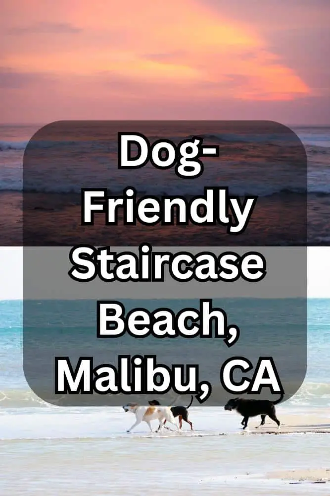 Dog-Friendly Staircase Beach Malibu, CA