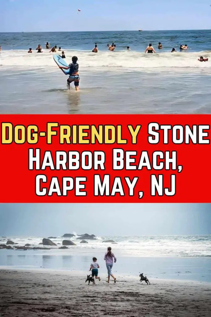 Dog-Friendly Stone Harbor Beach, Cape May, NJ