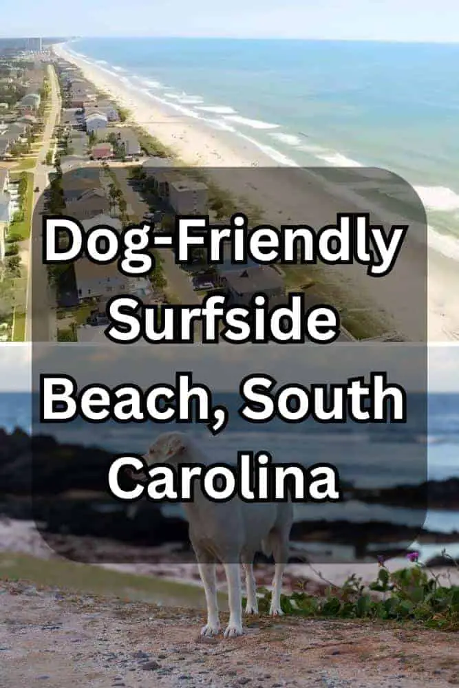 Dog-Friendly Surfside Beach, South Carolina