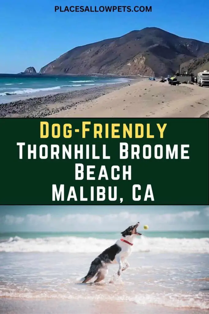 Dog-Friendly Thornhill Broome Beach Malibu, CA