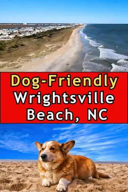 Dog-Friendly Wrightsville Beach, NC