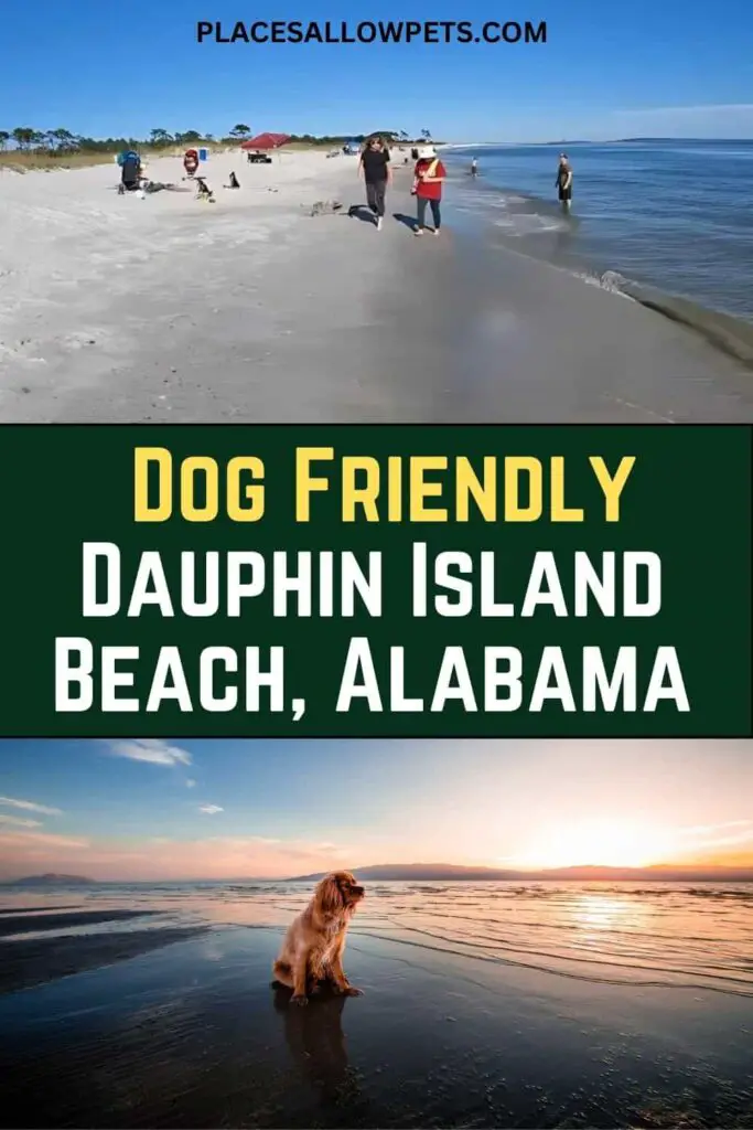 Dog-Friendly Dauphin Island Beach, AL
