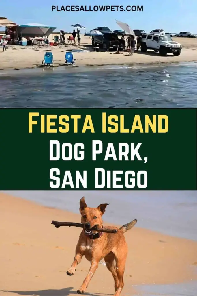 Fiesta Island Dog Park, San Diego