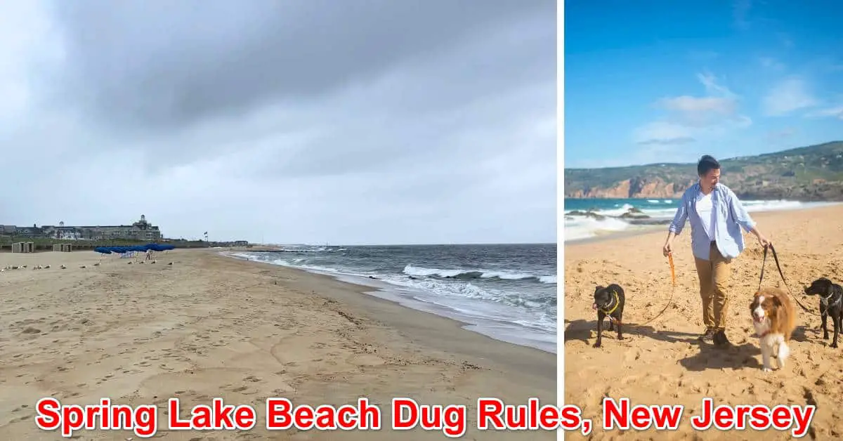 Spring Lake Beach Dog Rules, New Jersey