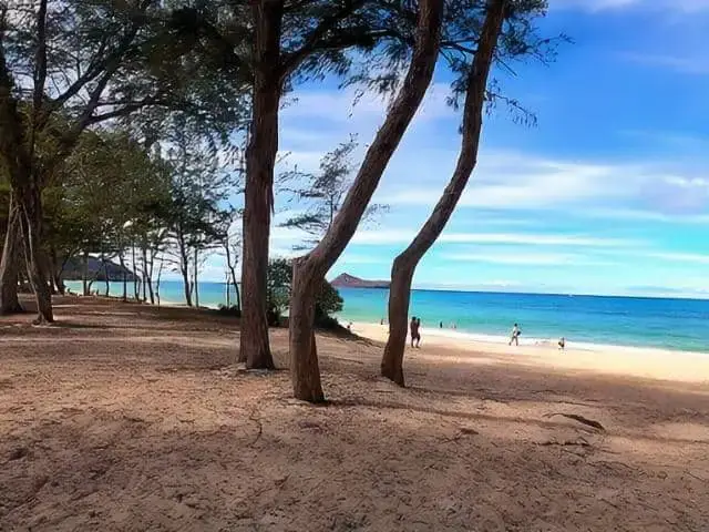 Waimanalo Bay Beach Dog Park