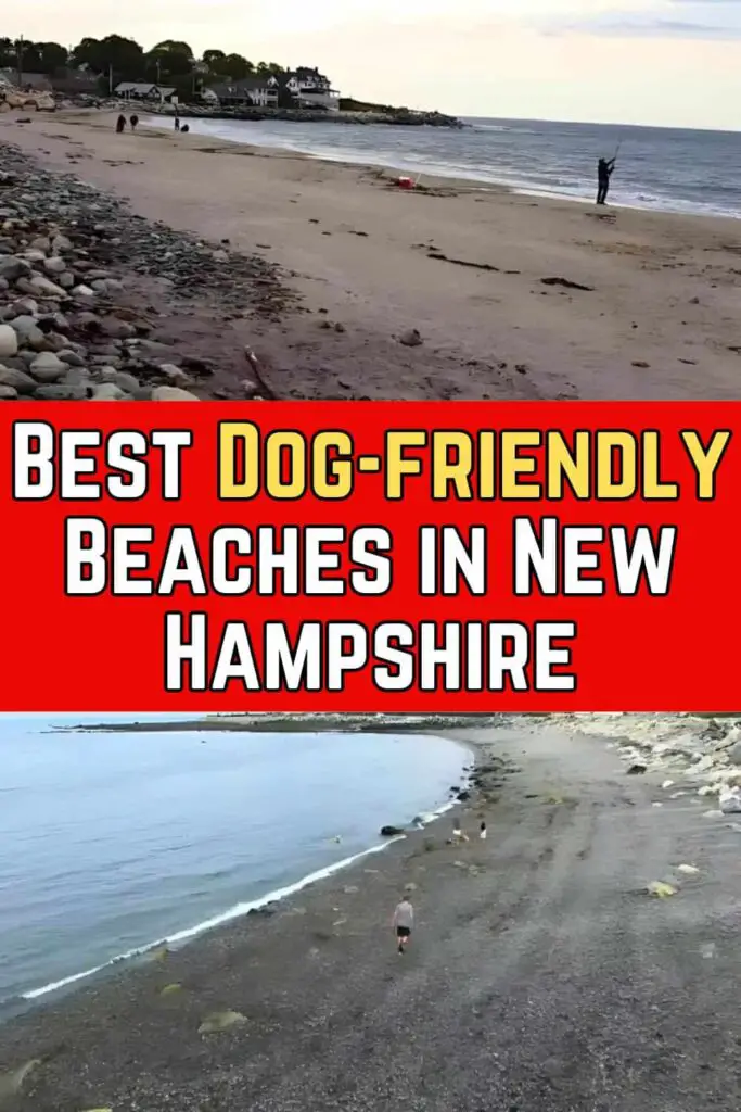 Best Dog-friendly Beaches in New Hampshire