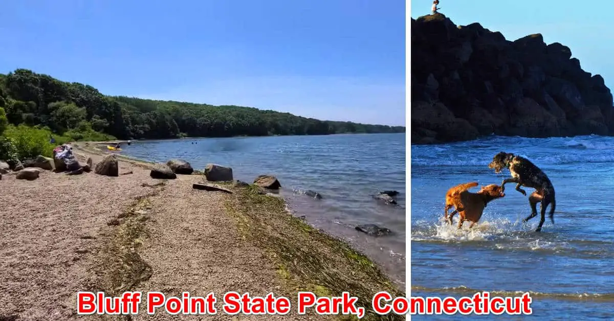 Bluff Point State Park, Connecticut