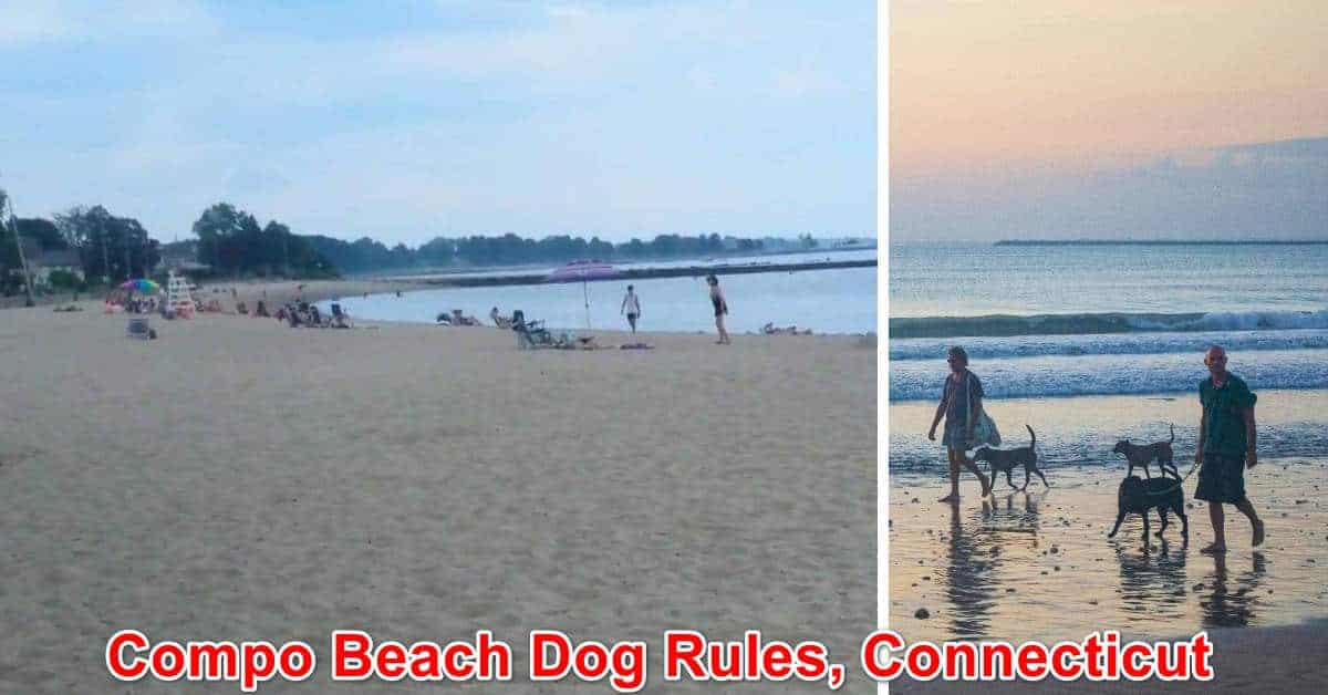 Compo Beach Dog Rules, Connecticut