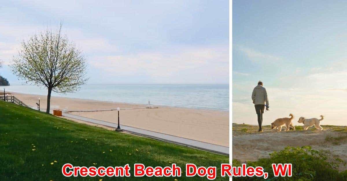 Crescent Beach Dog Rules, WI