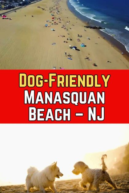 Dog-Friendly Manasquan Beach, NJ