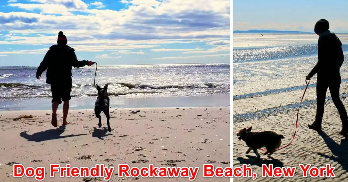 Dog Friendly Rockaway Beach, New York