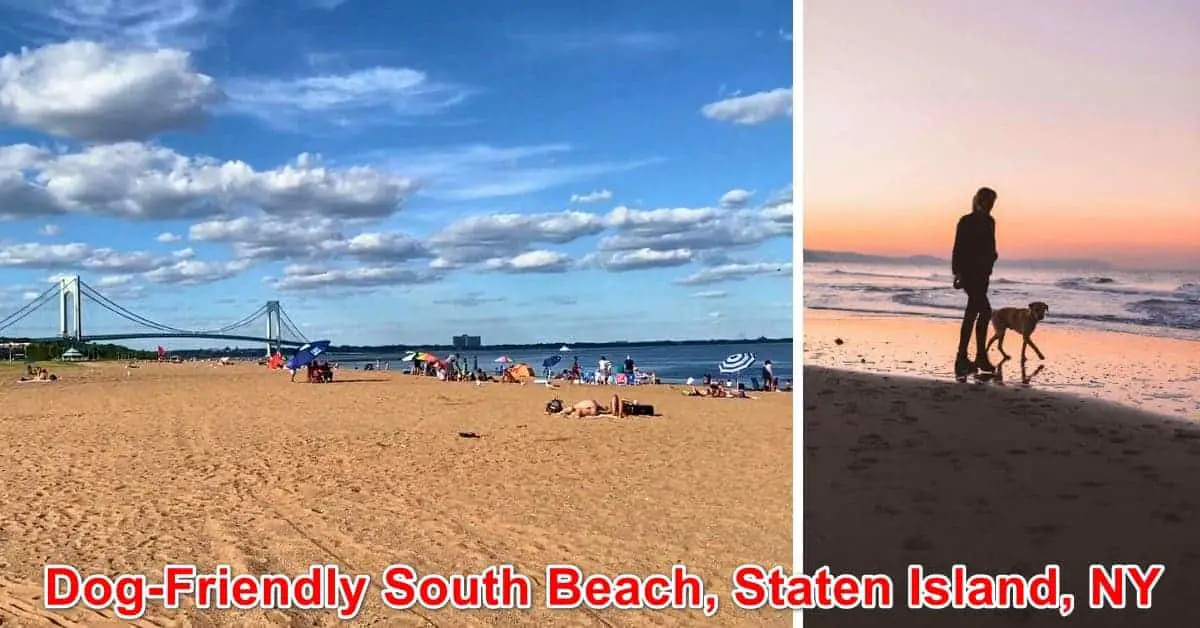 Dog-Friendly South Beach, Staten Island, NY
