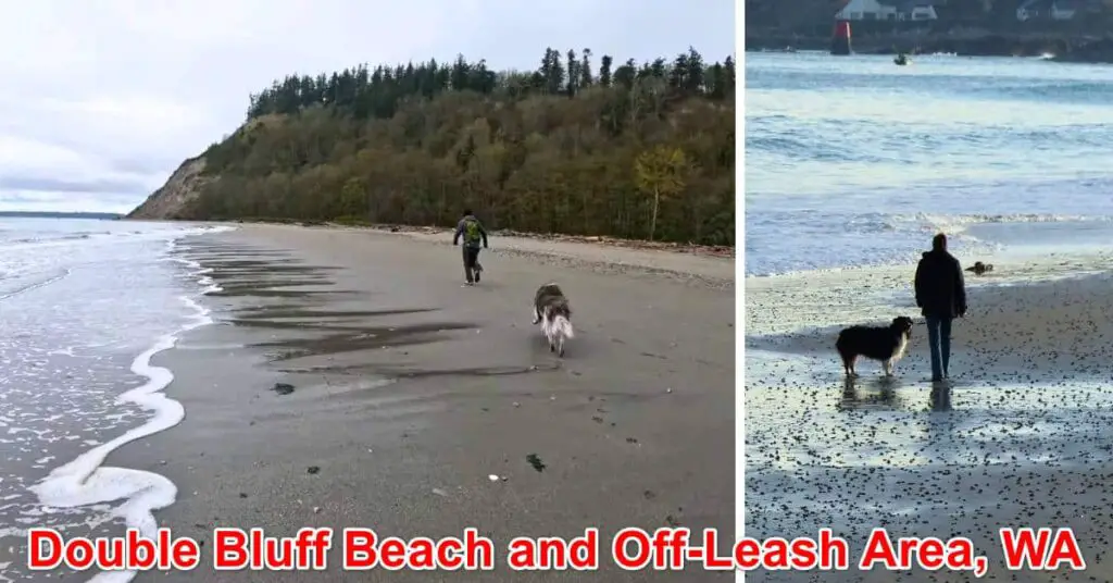 Dog-Friendly Double Bluff Beach and Off-Leash Area, Washington