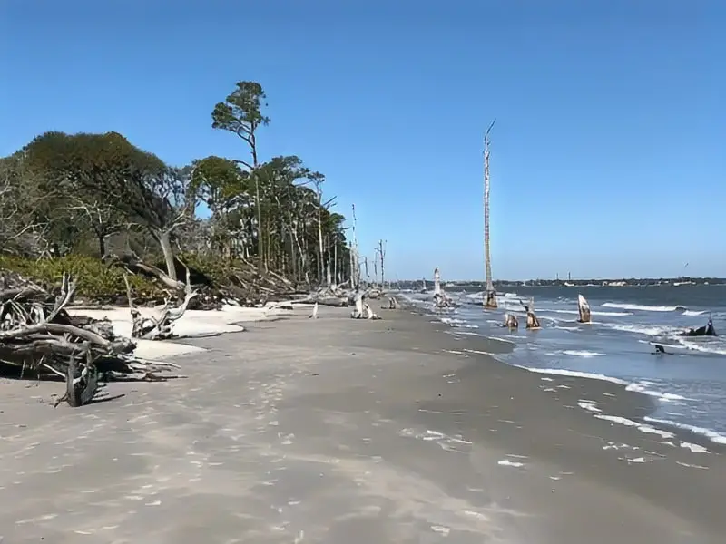 Driftwood Beach