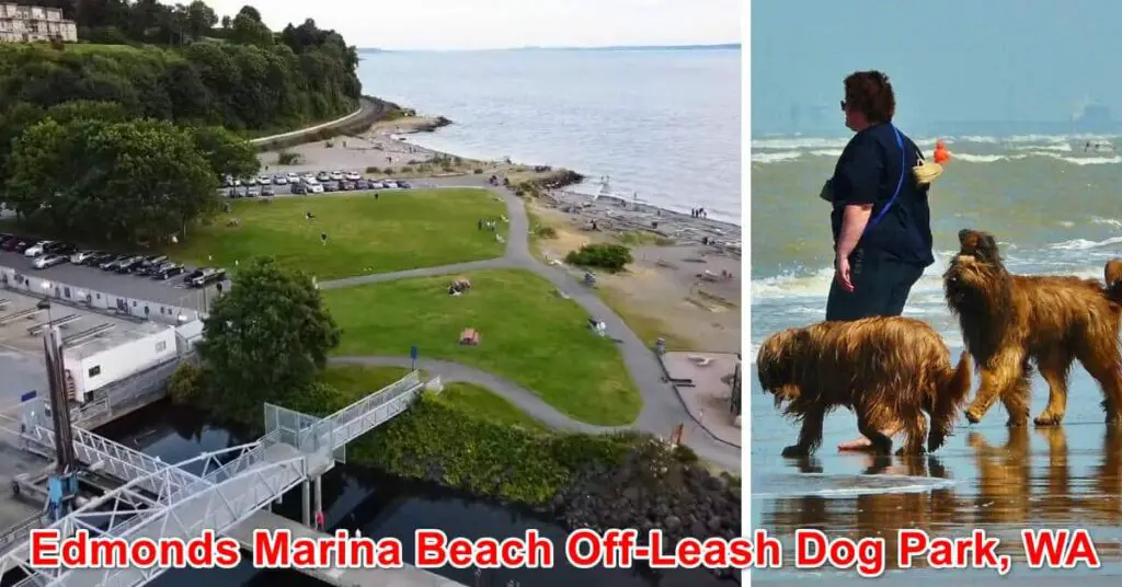 Edmonds Marina Beach Off-Leash Dog Park, Washington