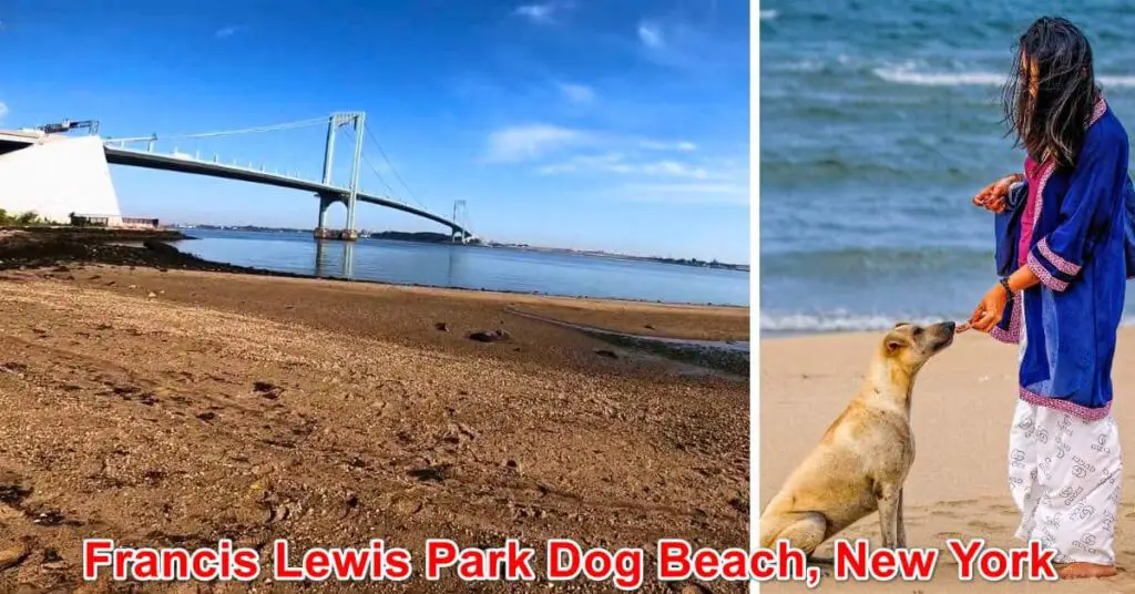 Francis Lewis Park Dog Beach, New York