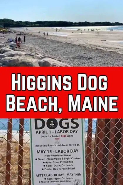 Higgins Dog Beach, Maine