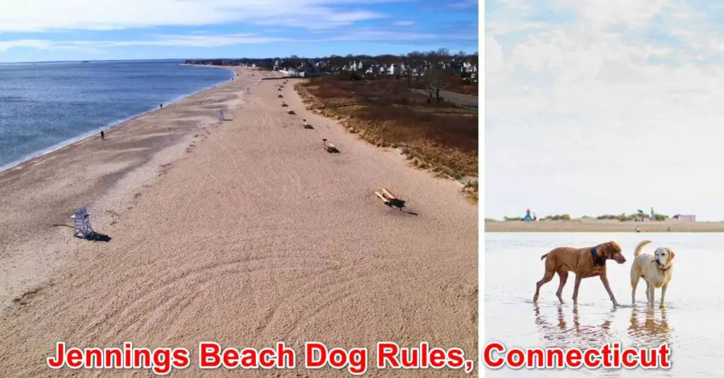 Jennings Beach Dog Rules, Connecticut