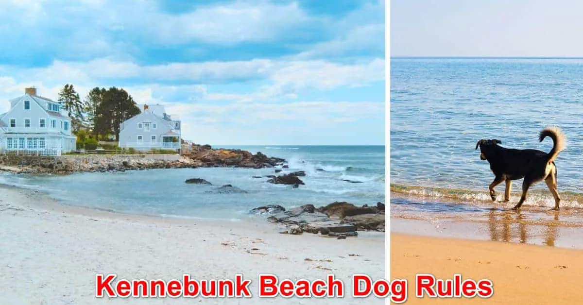 Kennebunk Beach Dog Rules, Maine