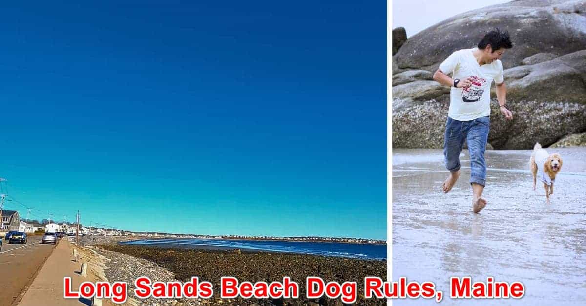 Long Sands Beach Dog Rules, Maine
