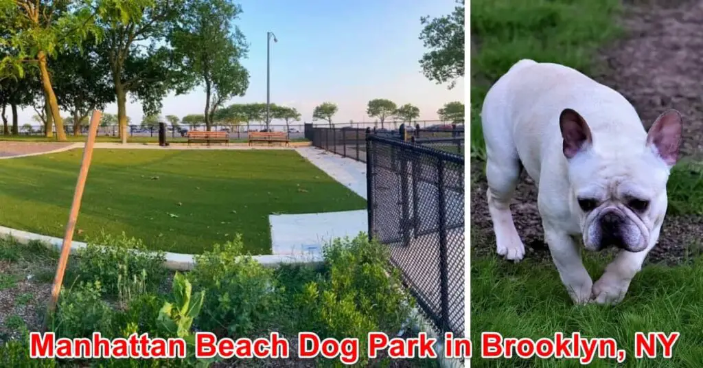 Manhattan Beach Dog Park in Brooklyn, NY
