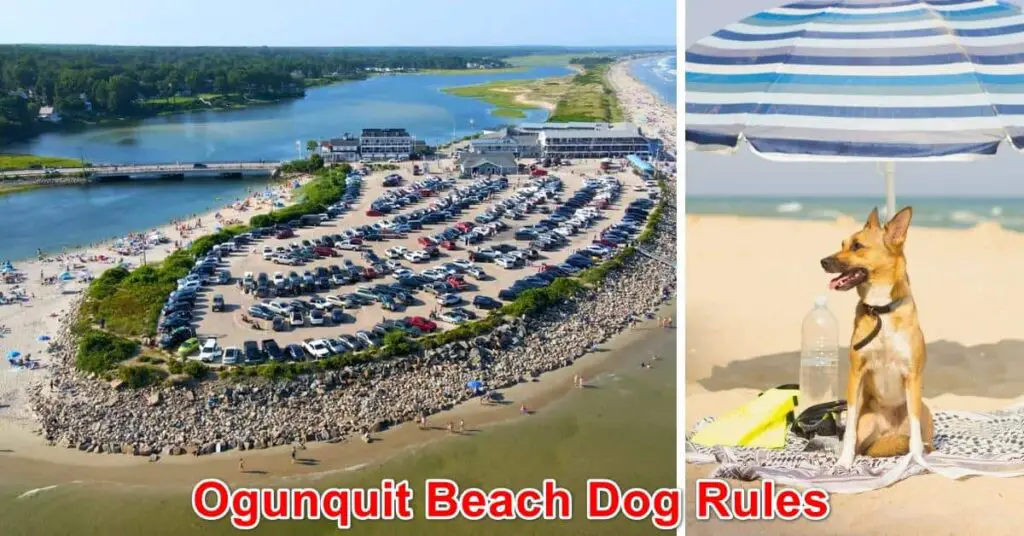 Ogunquit Beach Dog Rules, Maine