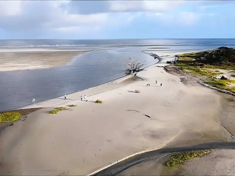 Sapelo Island Beach