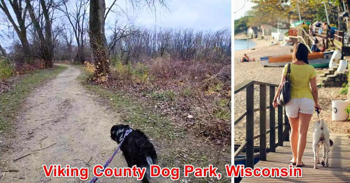 Viking County Dog Park, Wisconsin