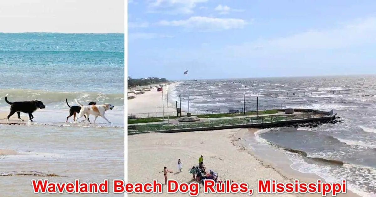 Waveland Beach Dog Rules, Mississippi