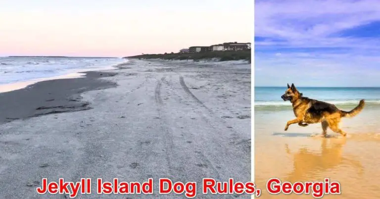 Jekyll Island Dog Rules, Georgia