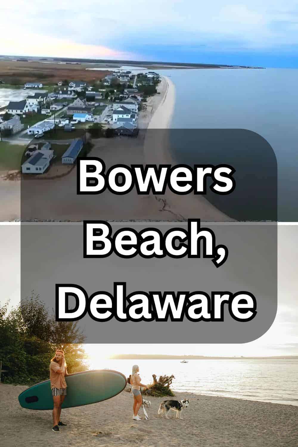 Bowers Beach Dog Rules, Delaware New Laws 2025