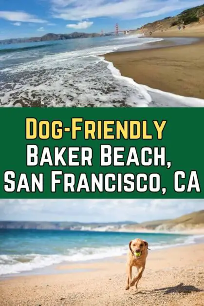Dog-Friendly Baker Beach, San Francisco, CA
