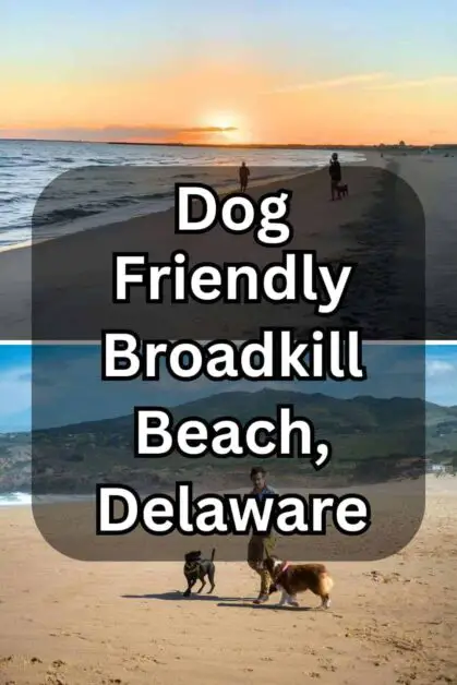 Dog Friendly Broadkill Beach, Delaware