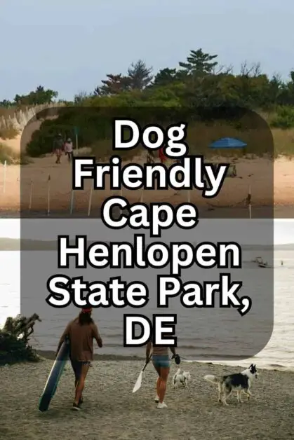 Dog-Friendly Cape Henlopen State Park, DE