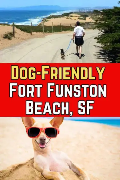 Dog-Friendly Fort Funston Beach, SF